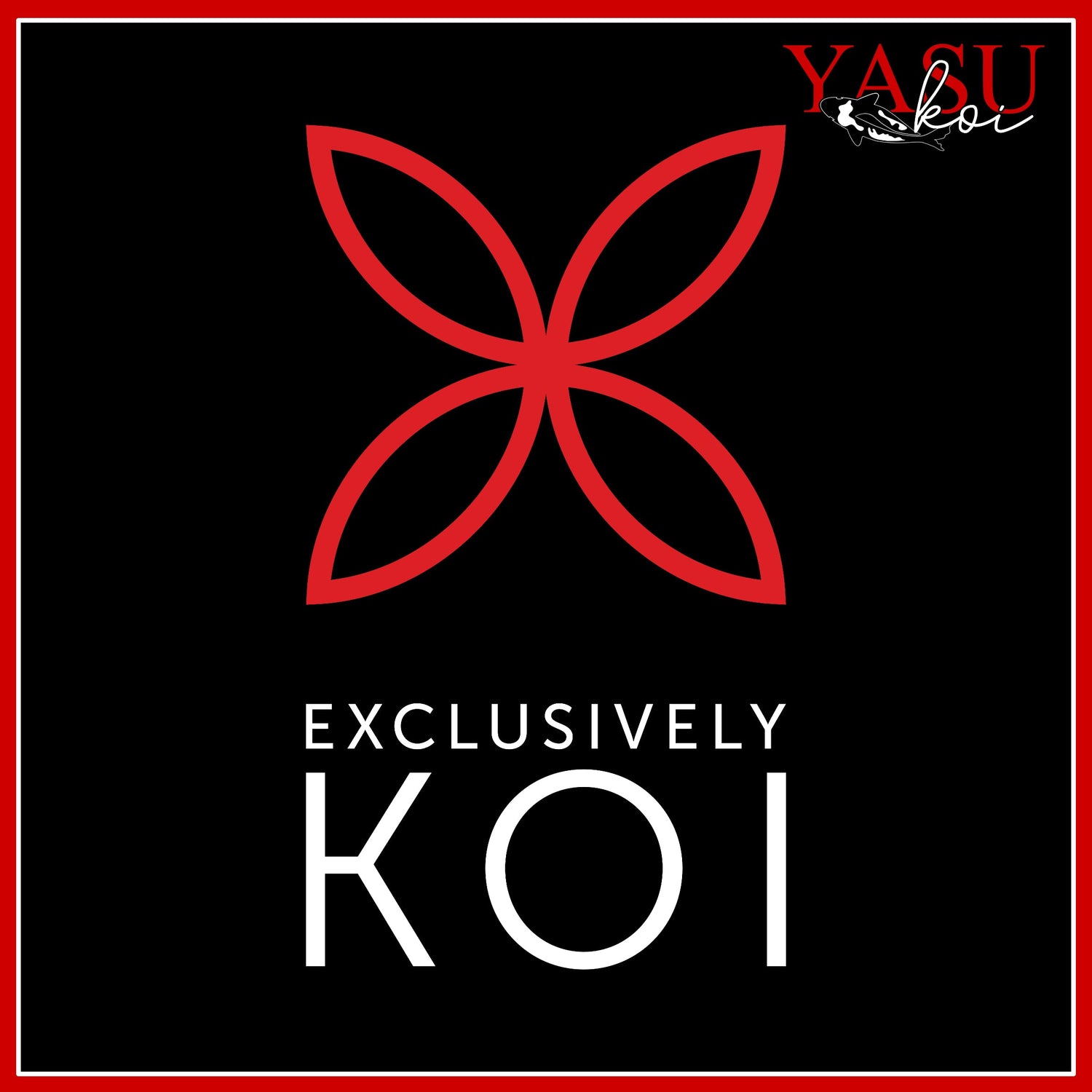 Exclusively Koi