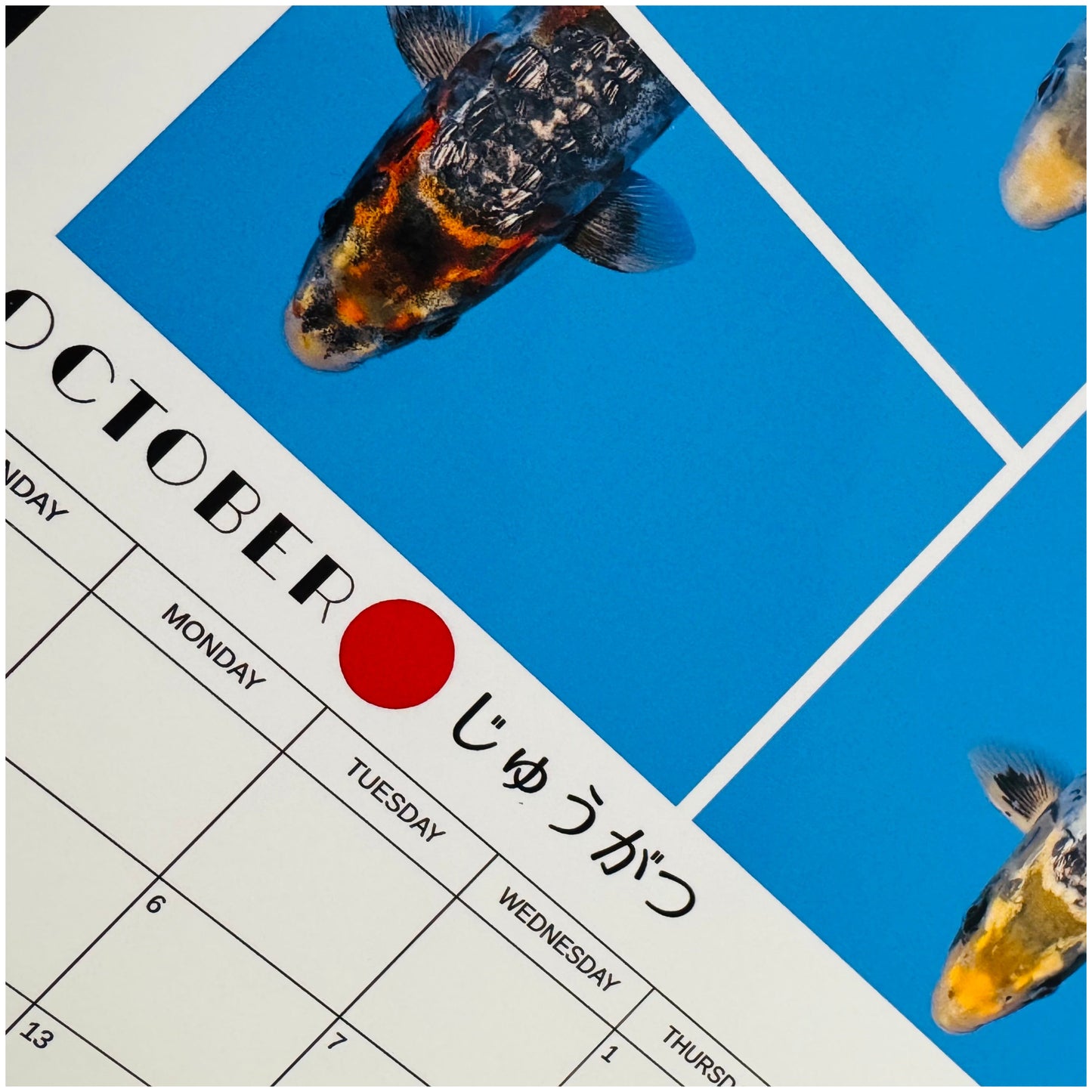 Yasu Koi 2026 Calendar