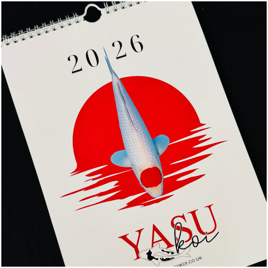 Yasu Koi 2026 Calendar
